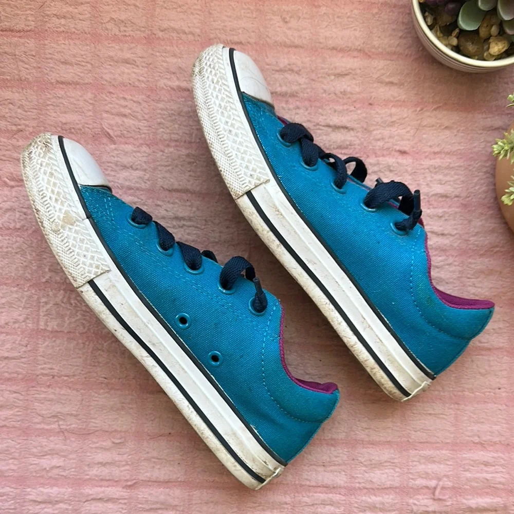 Converse Blue and Purple‎ Sneakers Classic Canvas Style